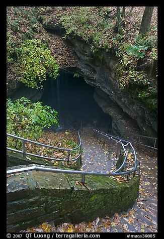 Steps and railing leading down to historical cave entrance. Mammoth Cave National Park (color)