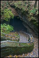 Steps and railing leading down to historical cave entrance. Mammoth Cave National Park, Kentucky, USA. (color)