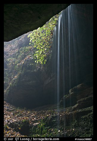 Ephemeral waterfall seen from inside cave. Mammoth Cave National Park, Kentucky, USA.