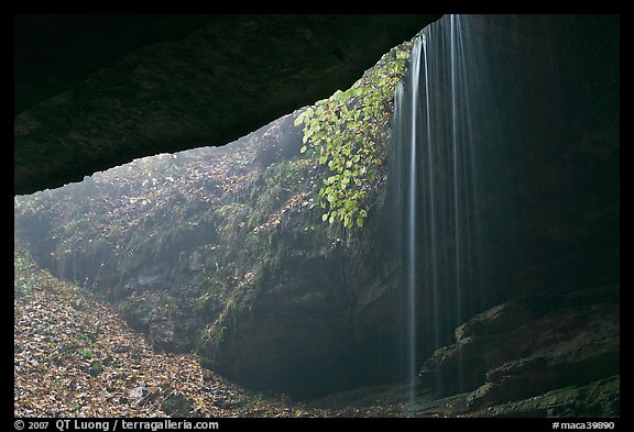 Rain-fed waterfall seen from inside cave. Mammoth Cave National Park, Kentucky, USA.