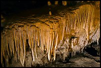 Flowstone detail, Frozen Niagara. Mammoth Cave National Park, Kentucky, USA.