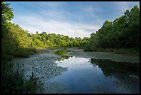 Sloans Crossing Pond. Mammoth Cave National Park ( color)