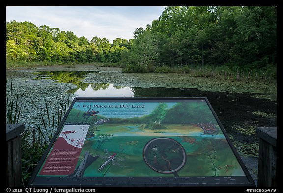 Wet place in a dry land Interpretive sign, Sloans Crossing Pond. Mammoth Cave National Park, Kentucky, USA.