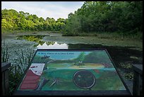 Wet place in a dry land Interpretive sign, Sloans Crossing Pond. Mammoth Cave National Park ( color)