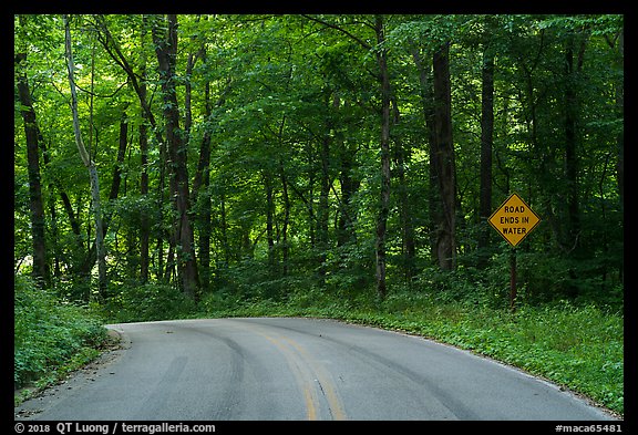 Houchin Ferry Road. Mammoth Cave National Park (color)