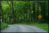 Houchin Ferry Road. Mammoth Cave National Park, Kentucky, USA.