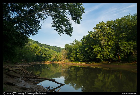 Green River in the morning, Houchin Ferry. Mammoth Cave National Park, Kentucky, USA.