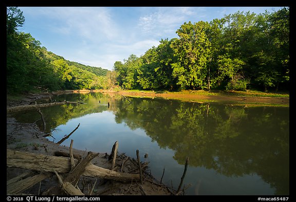 Calm waters of Green River, Houchin Ferry. Mammoth Cave National Park, Kentucky, USA.