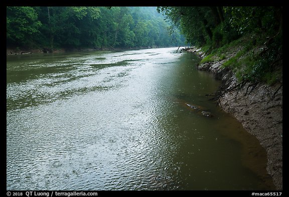 Rain, Green River. Mammoth Cave National Park (color)