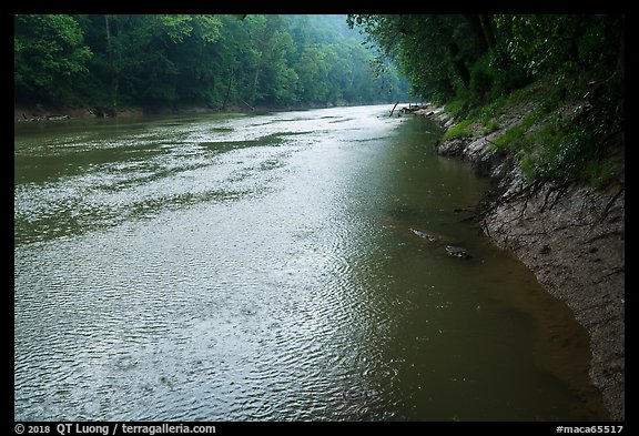 Rain, Green River. Mammoth Cave National Park, Kentucky, USA.