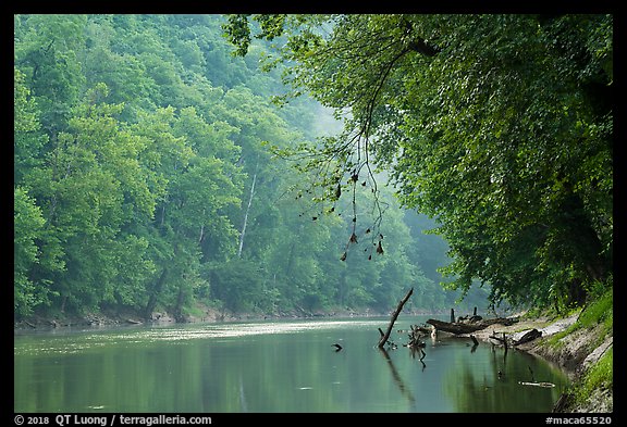 Green River and fog, Dennison Ferry. Mammoth Cave National Park, Kentucky, USA.