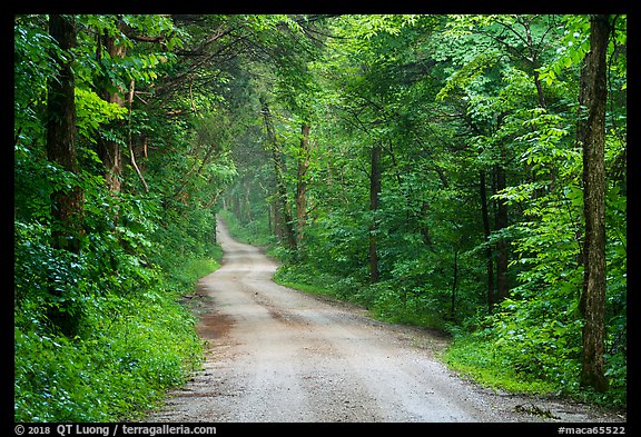 Dennison Ferry Road. Mammoth Cave National Park (color)