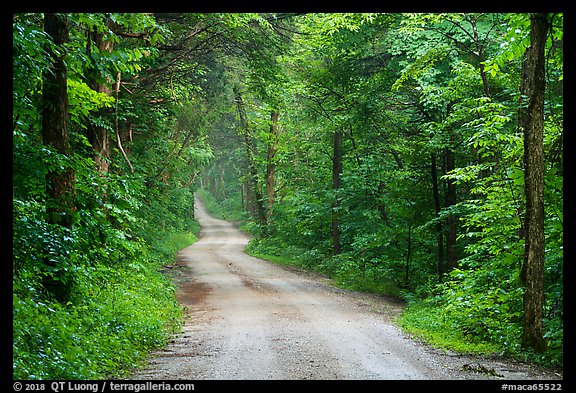 Dennison Ferry Road. Mammoth Cave National Park, Kentucky, USA.