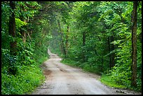 Dennison Ferry Road. Mammoth Cave National Park, Kentucky, USA.