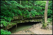 River Styx resurgence in summer. Mammoth Cave National Park ( color)