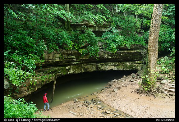 Vistor looking, River Styx resurgence. Mammoth Cave National Park, Kentucky, USA.