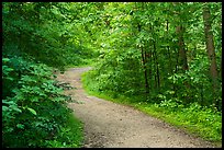 River Styx Trail in summer. Mammoth Cave National Park ( color)