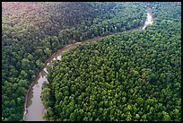 Aerial view of Green River curve. Mammoth Cave National Park ( color)