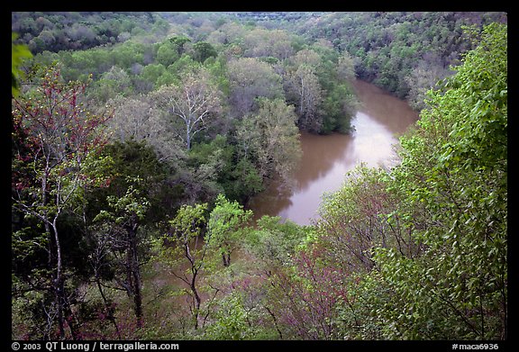 Green River seen from bluff in springtime. Mammoth Cave National Park (color)