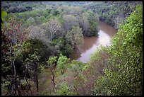 Green River seen from bluff in springtime. Mammoth Cave National Park, Kentucky, USA.