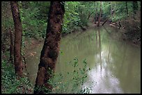 Echo River Spring. Mammoth Cave National Park, Kentucky, USA.