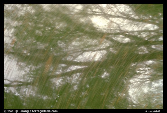 Reflections in Echo River Spring. Mammoth Cave National Park (color)