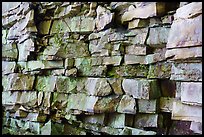 Cliff detail, Castle Rock. New River Gorge National Park and Preserve ( color)