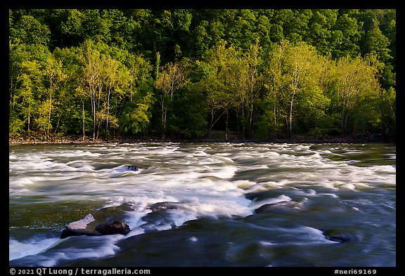 Rapids on New River. New River Gorge National Park and Preserve (color)