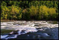 Rapids on New River. New River Gorge National Park and Preserve ( color)