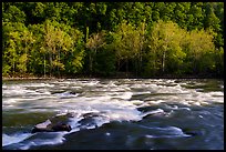 Rapids on New River. New River Gorge National Park and Preserve ( color)