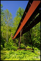 Coal Conveyor, Nuttallburg. New River Gorge National Park and Preserve ( color)