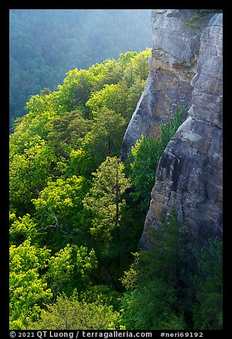 Endless Walls Cliffs. New River Gorge National Park and Preserve (color)