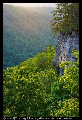 Cliffs and gorge from Diamond Point. New River Gorge National Park and Preserve (color)