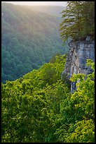 Cliffs and gorge from Diamond Point. New River Gorge National Park and Preserve ( color)
