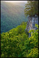 Cliffs and gorge from Diamond Point. New River Gorge National Park and Preserve ( color)