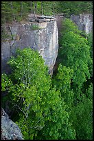 Cliffs from Diamond Point. New River Gorge National Park and Preserve ( color)