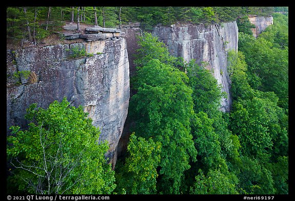 Endless Walls Cliffs from Diamond Point. New River Gorge National Park and Preserve, West Virginia, USA.