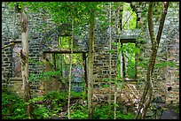 Ruined power house, Kaymoor Mine Site. New River Gorge National Park and Preserve ( color)