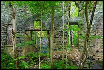 Ruined power house, Kaymoor Mine Site. New River Gorge National Park and Preserve ( color)