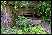 Rails and shaft opening, Kaymoor Mine Site. New River Gorge National Park and Preserve ( color)