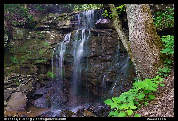 Kates Falls. New River Gorge National Park and Preserve (color)