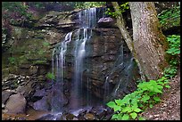 Kates Falls. New River Gorge National Park and Preserve ( color)