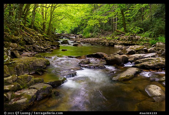Glade Creek stream. New River Gorge National Park and Preserve (color)