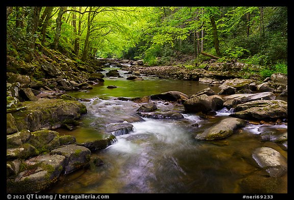 Glade Creek stream. New River Gorge National Park and Preserve (color)