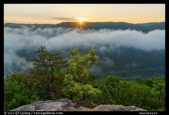 Sunrise with low clouds from Long Point. New River Gorge National Park and Preserve, West Virginia, USA.