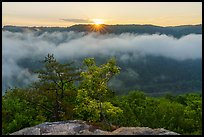 Sunrise with low clouds from Long Point. New River Gorge National Park and Preserve ( color)