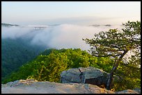 New River Gorge Bridge and fog from Long Point. New River Gorge National Park and Preserve ( color)