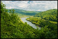View from Brooks Overlook. New River Gorge National Park and Preserve ( color)