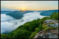 Sunrise over fog-filled gorge from Grandview Overlook. New River Gorge National Park and Preserve ( color)