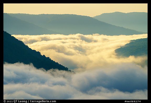Fog-filled gorge and sunrise. New River Gorge National Park and Preserve (color)